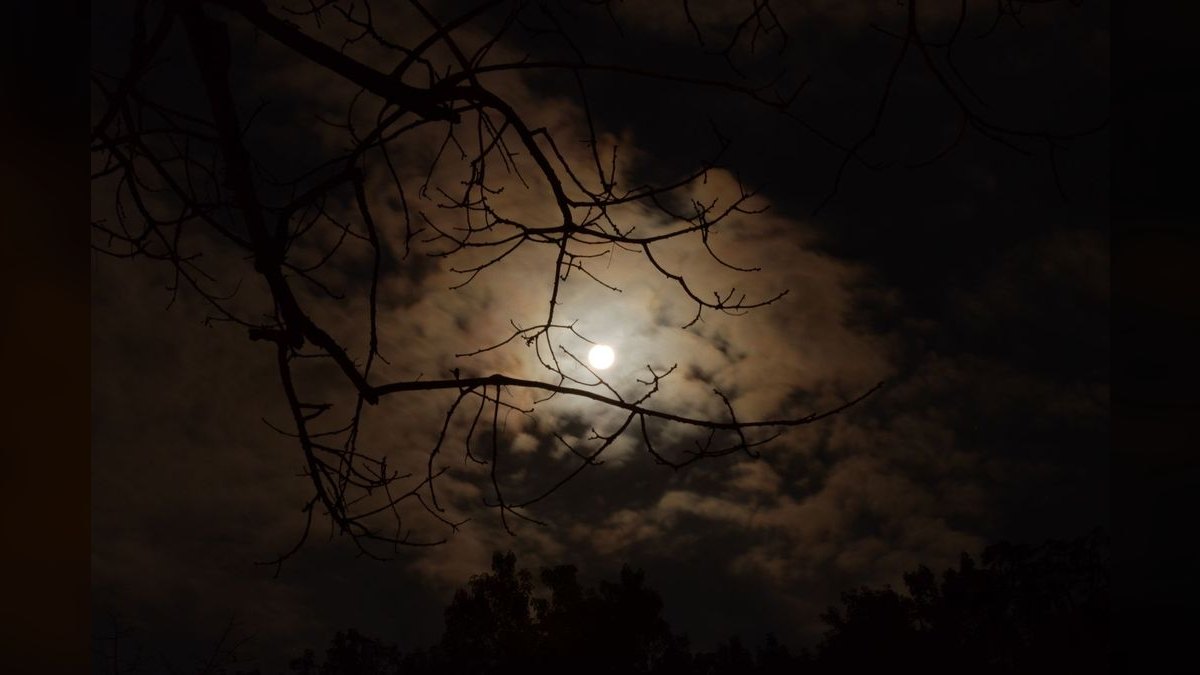Top 10 LED Moonlight Strips for Night Viewing — figure 4