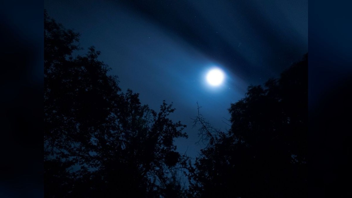 Top 10 LED Moonlight Strips for Night Viewing — figure 5