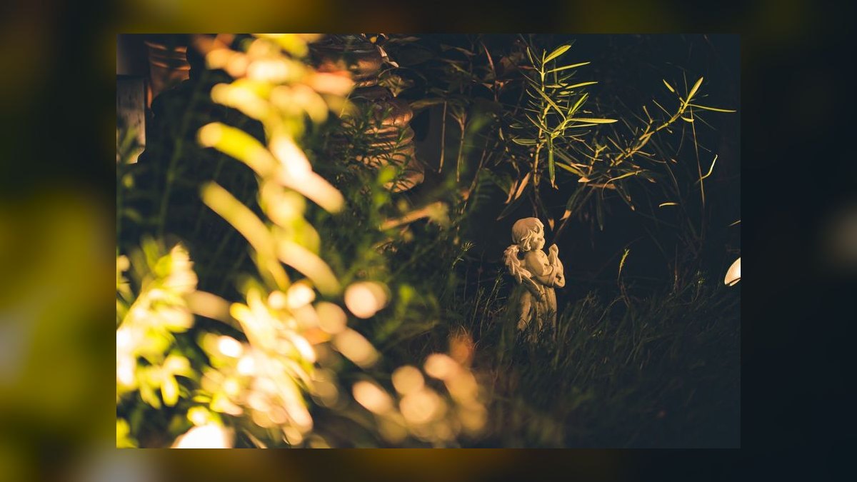 Top 10 LED Moonlight Strips for Night Viewing in 2027 — figure 7