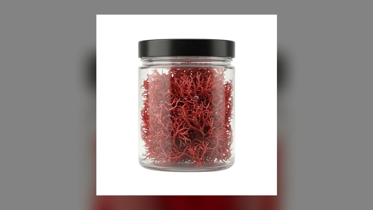 Top 10 Refugium Macroalgae for Nutrient Export in 2027 — figure 3