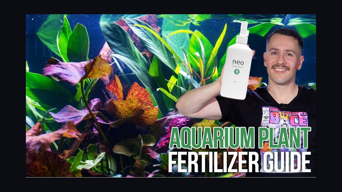 Top 10 Aquarium Plant Fertilizers (Liquid and Root Tabs) in 2027 — figure 4