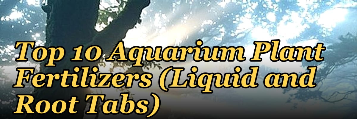 Top 10 Aquarium Plant Fertilizers (Liquid and Root Tabs)