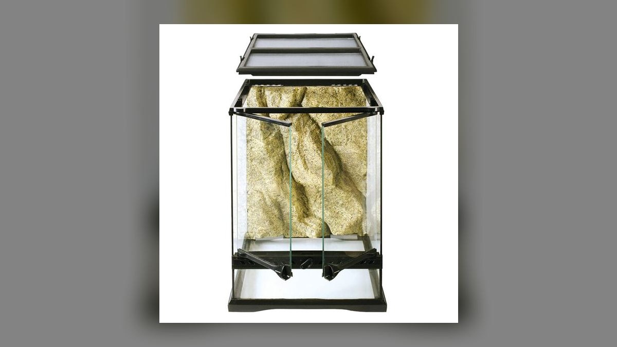 Top 10 Breeding Traps and Fry Rearing Containers in 2027 — figure 6