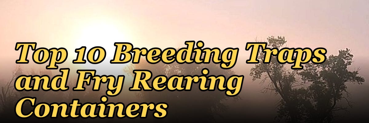 Top 10 Breeding Traps and Fry Rearing Containers