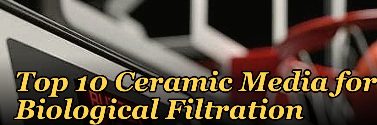 Top 10 Ceramic Media for Biological Filtration