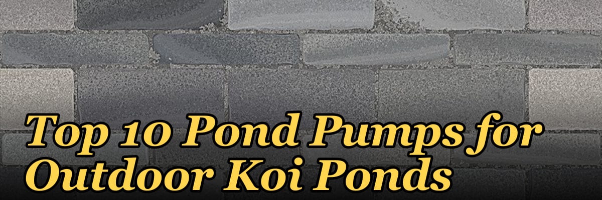 Top 10 Pond Pumps for Outdoor Koi Ponds