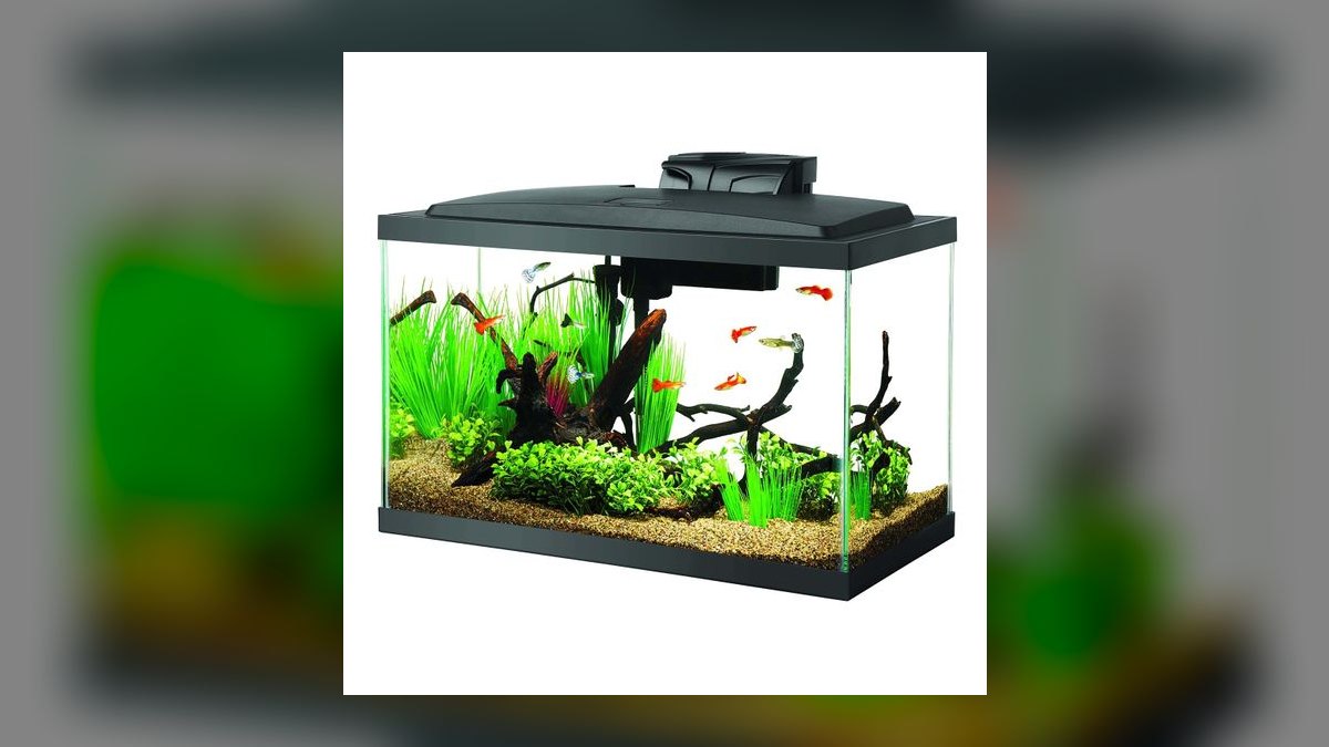 Top 10 Acrylic vs Glass Tank Brands for Durability in 2027 — figure 6