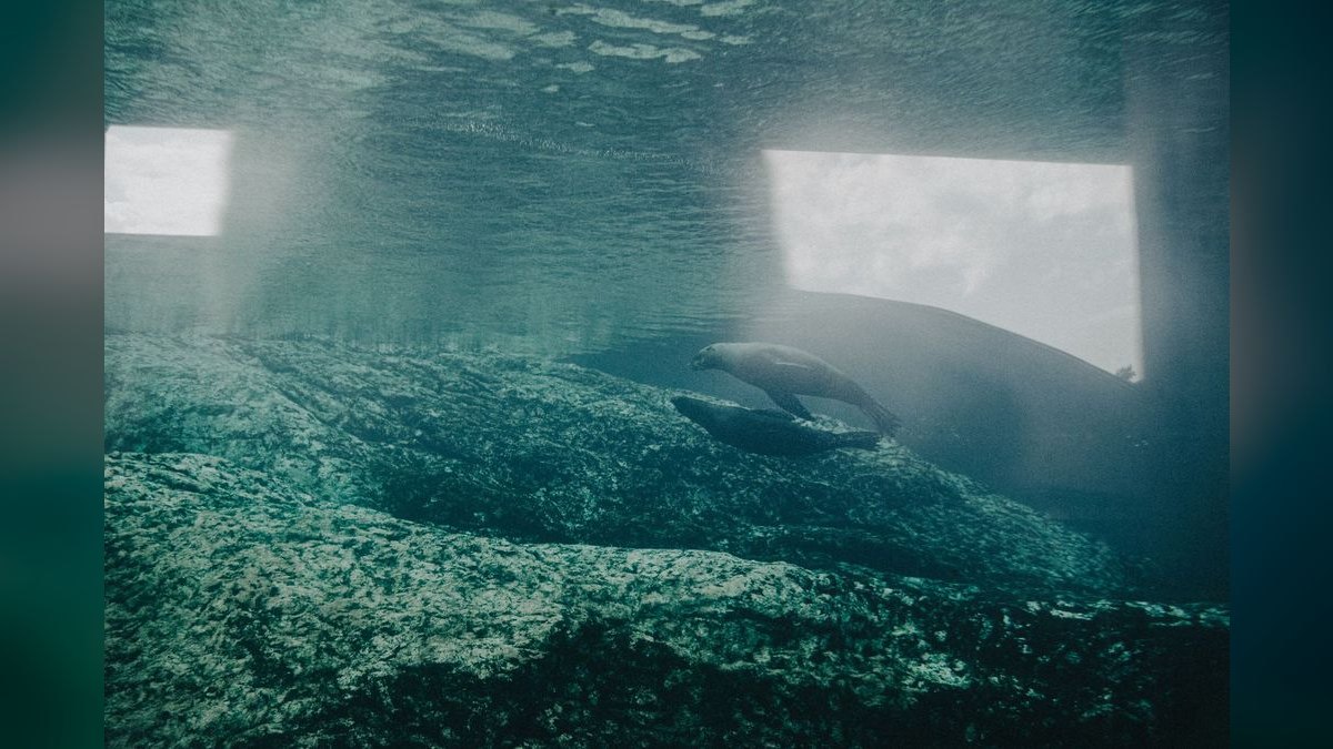 Top 10 Aquarium Sealing Silicones for Repairs — figure 2