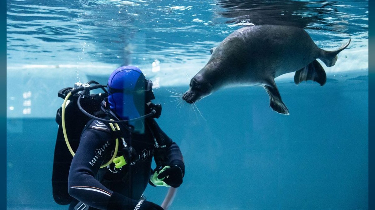 Top 10 Aquarium Sealing Silicones for Repairs — figure 3