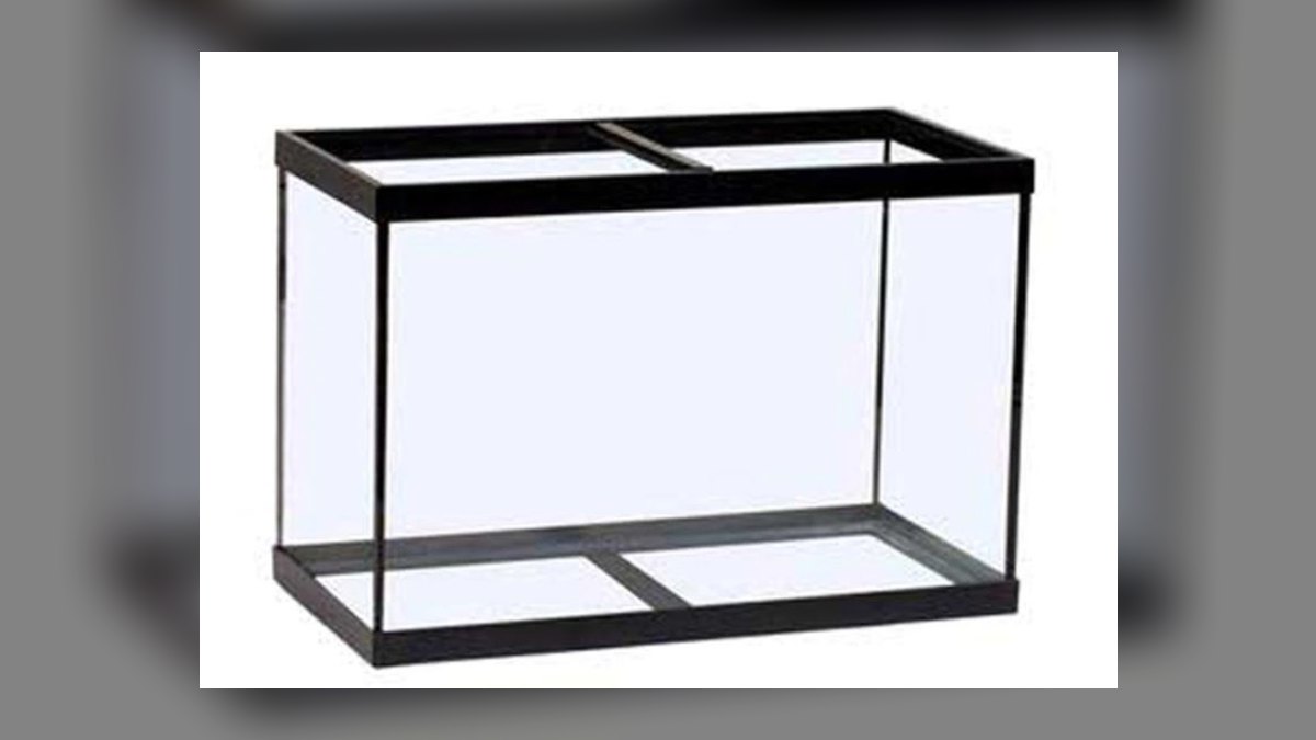 Top 10 Aquarium Sealing Silicones for Repairs in 2027