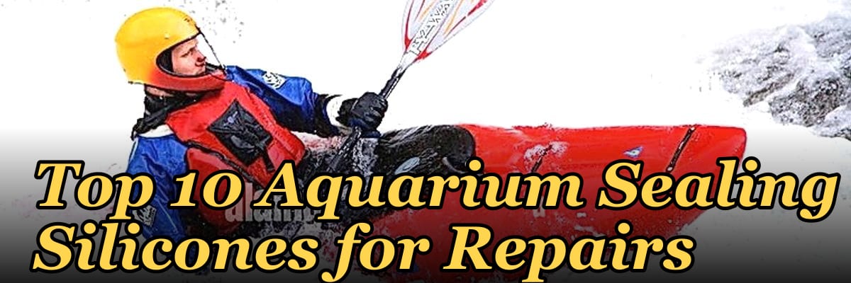 Top 10 Aquarium Sealing Silicones for Repairs