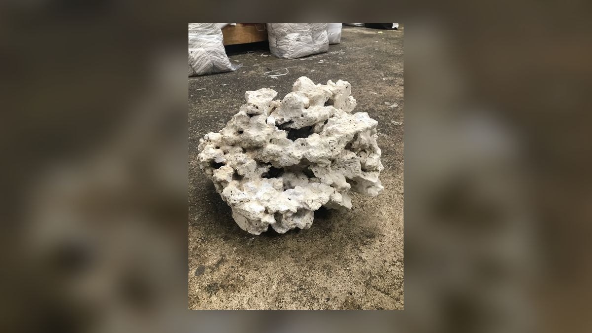 Top 10 Live Rock Types for Curing and Aquascaping — figure 4