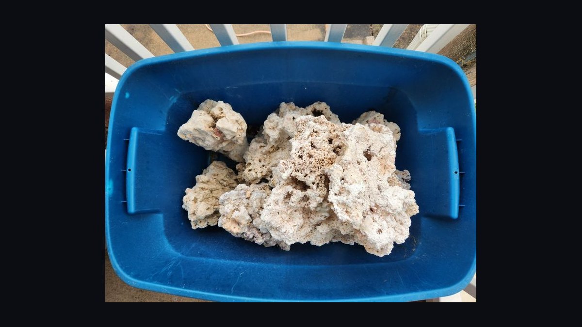 Top 10 Live Rock Types for Curing and Aquascaping in 2027 — figure 8