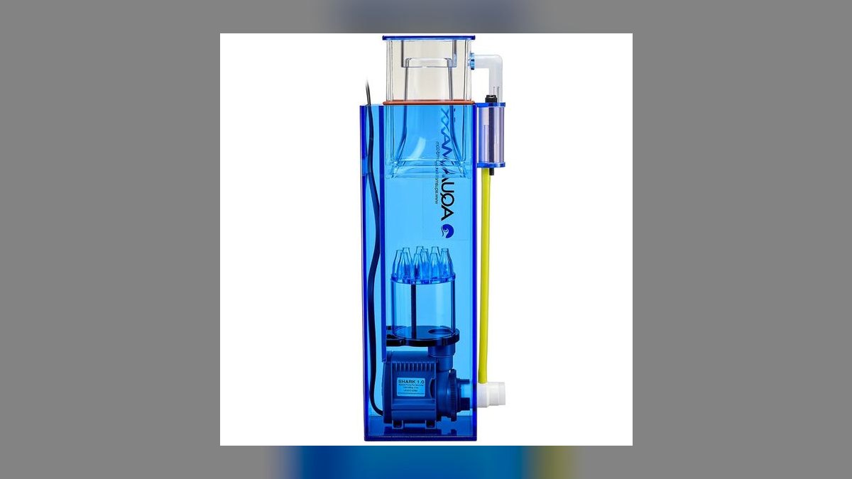 Top 10 Aquarium Sump Designs for Reef Tanks Under 75 Gallons — figure 10