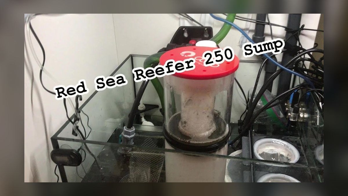 Top 10 Aquarium Sump Designs for Reef Tanks Under 75 Gallons — figure 6