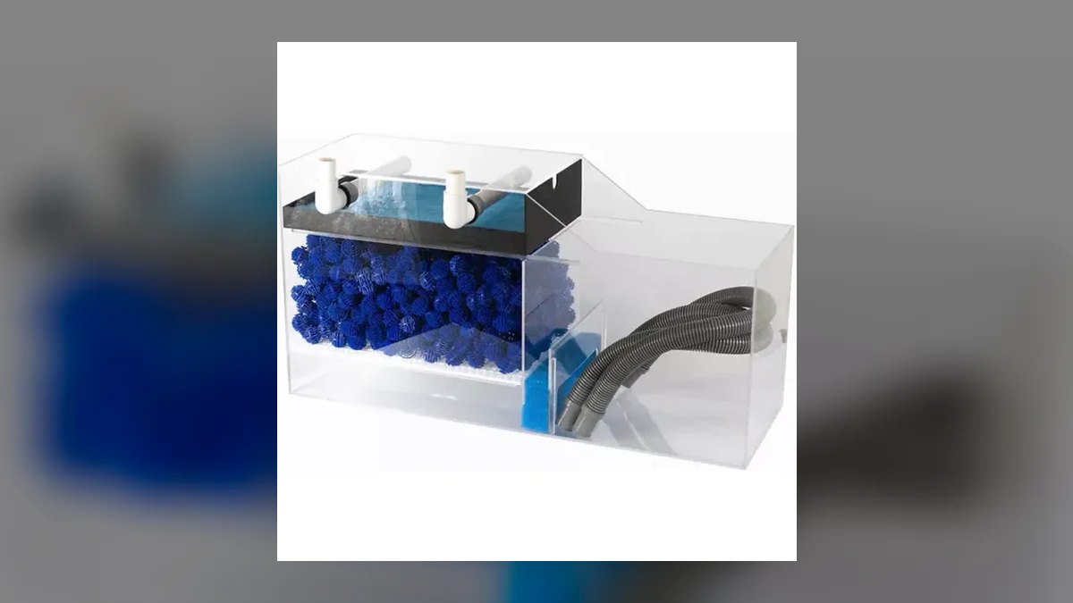 Top 10 Aquarium Sump Designs for Reef Tanks Under 75 Gallons — figure 7