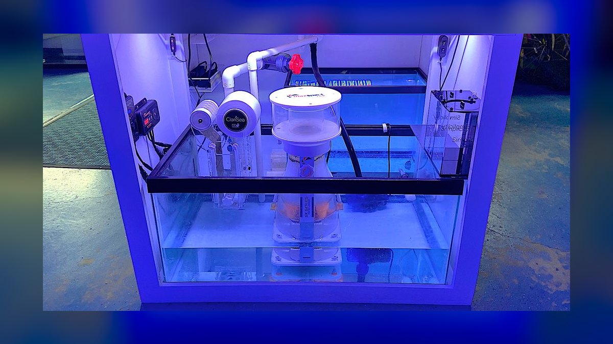 Top 10 Aquarium Sump Designs for Reef Tanks Under 75 Gallons — figure 9