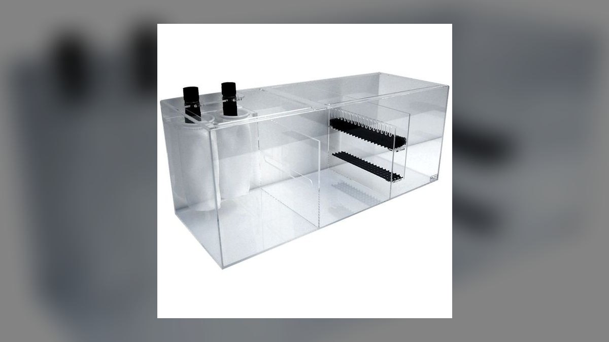 Top 10 Aquarium Sump Designs for Reef Tanks Under 75 Gallons in 2027