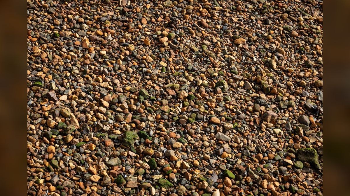 Top 10 Substrate Options for Planted Aquascapes (Aquasoils vs Sand) — figure 5
