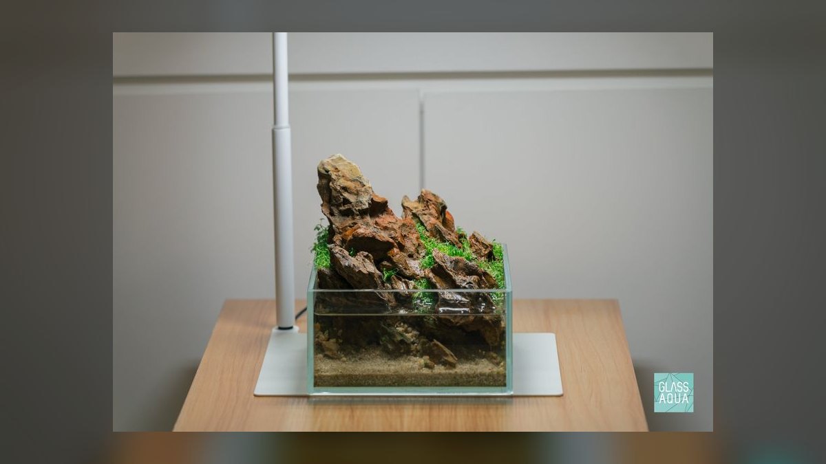 Top 10 Substrate Options for Planted Aquascapes (Aquasoils vs Sand) in 2027 — figure 7