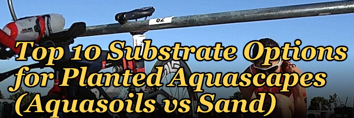 Top 10 Substrate Options for Planted Aquascapes (Aquasoils vs Sand)