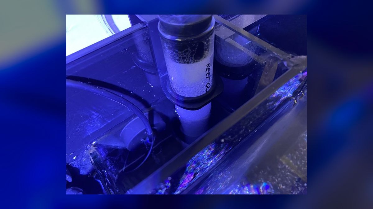 Top 10 Protein Skimmers for Small Saltwater Aquariums (Under 40 Gal) — figure 6