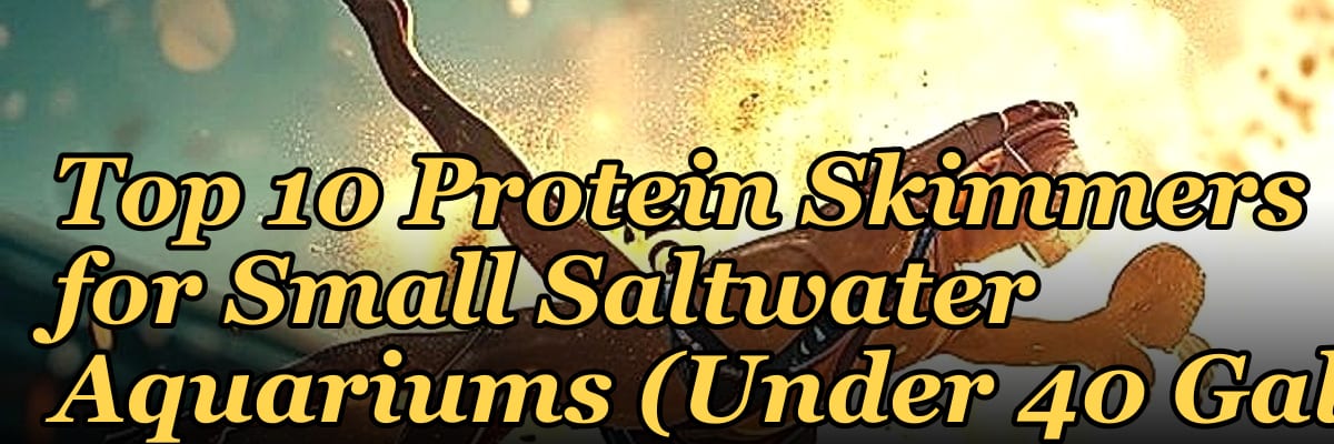 Top 10 Protein Skimmers for Small Saltwater Aquariums (Under 40 Gal)