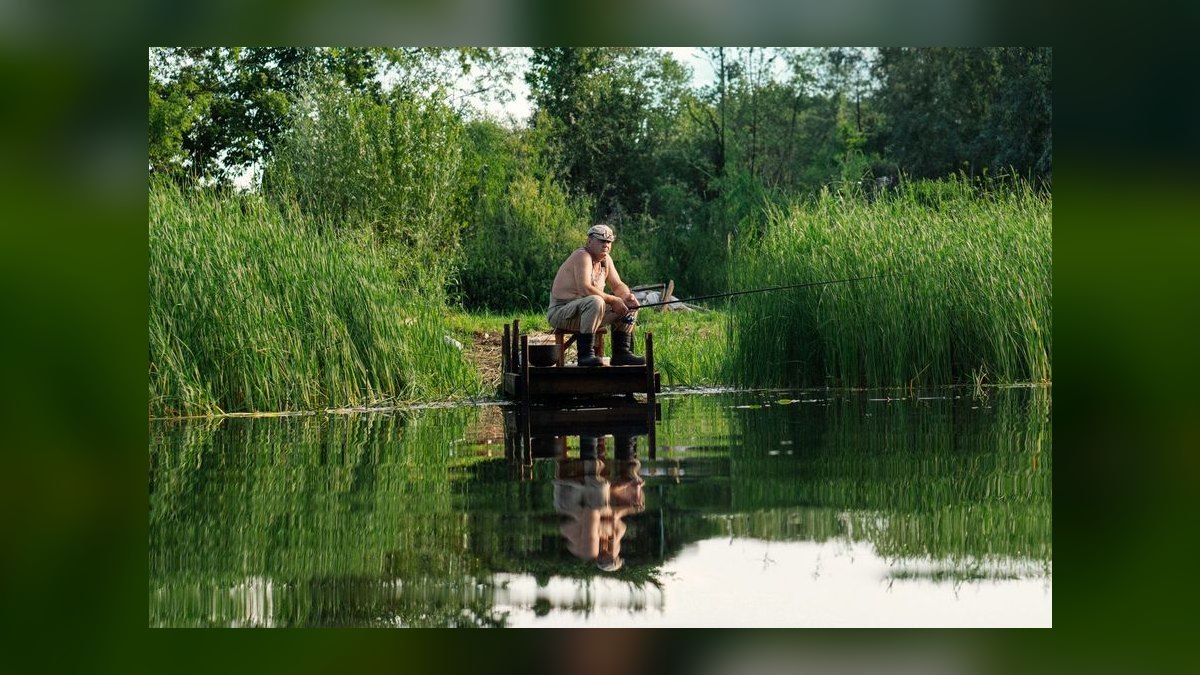 Top 10 Automatic Fish Feeders for Vacation Feeding in 2027 — figure 1