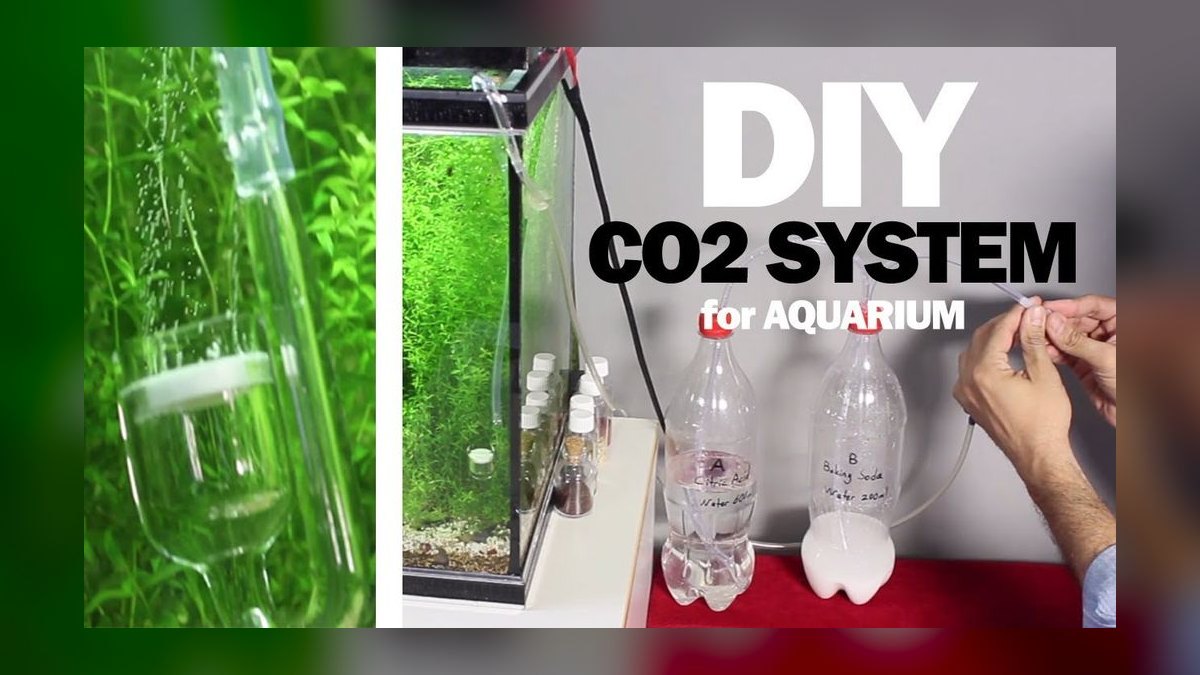 Top 10 Aquarium CO2 Systems for Planted Tanks (Budget to Pro) in 2027 — figure 6