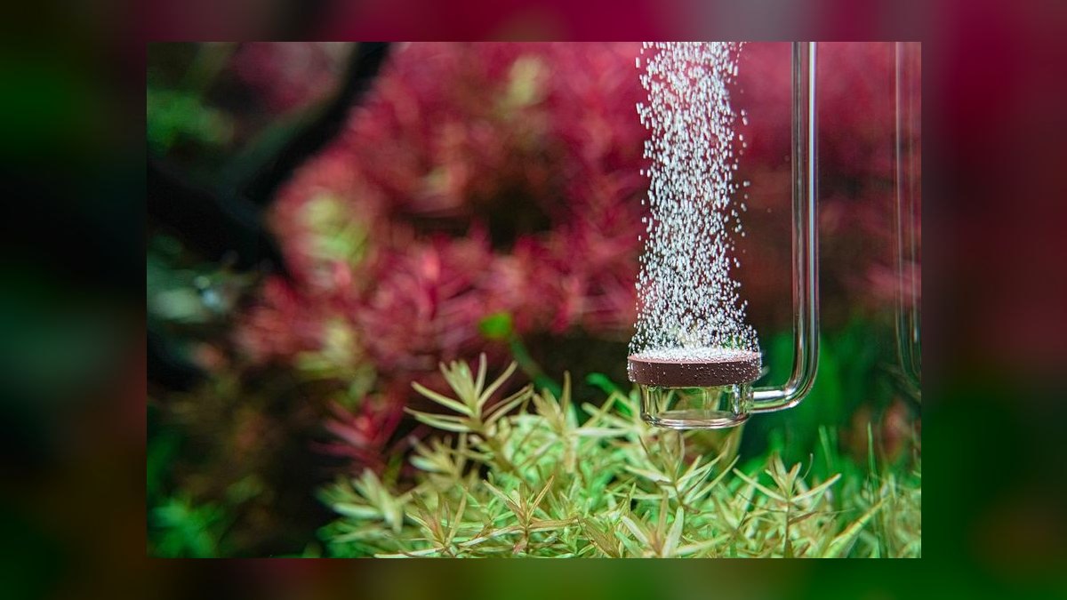 Top 10 Aquarium CO2 Systems for Planted Tanks (Budget to Pro) in 2027 — figure 8