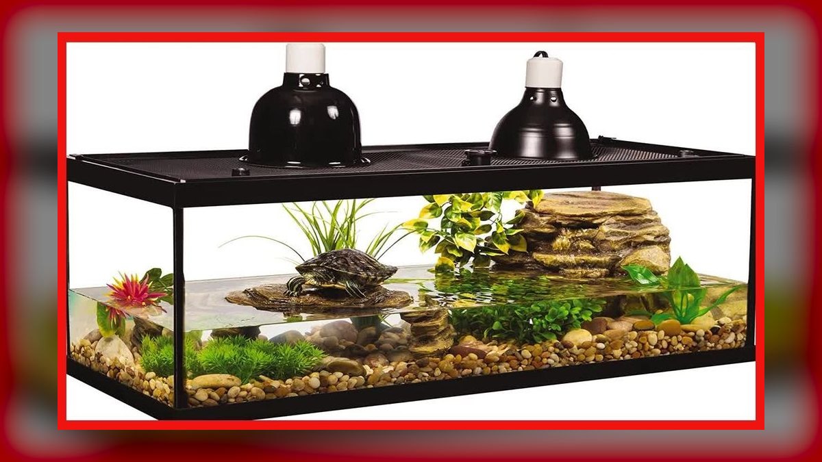 Top 10 Aquarium Stands for 20-40 Gallon Tanks Under $150 in 2027 — figure 1