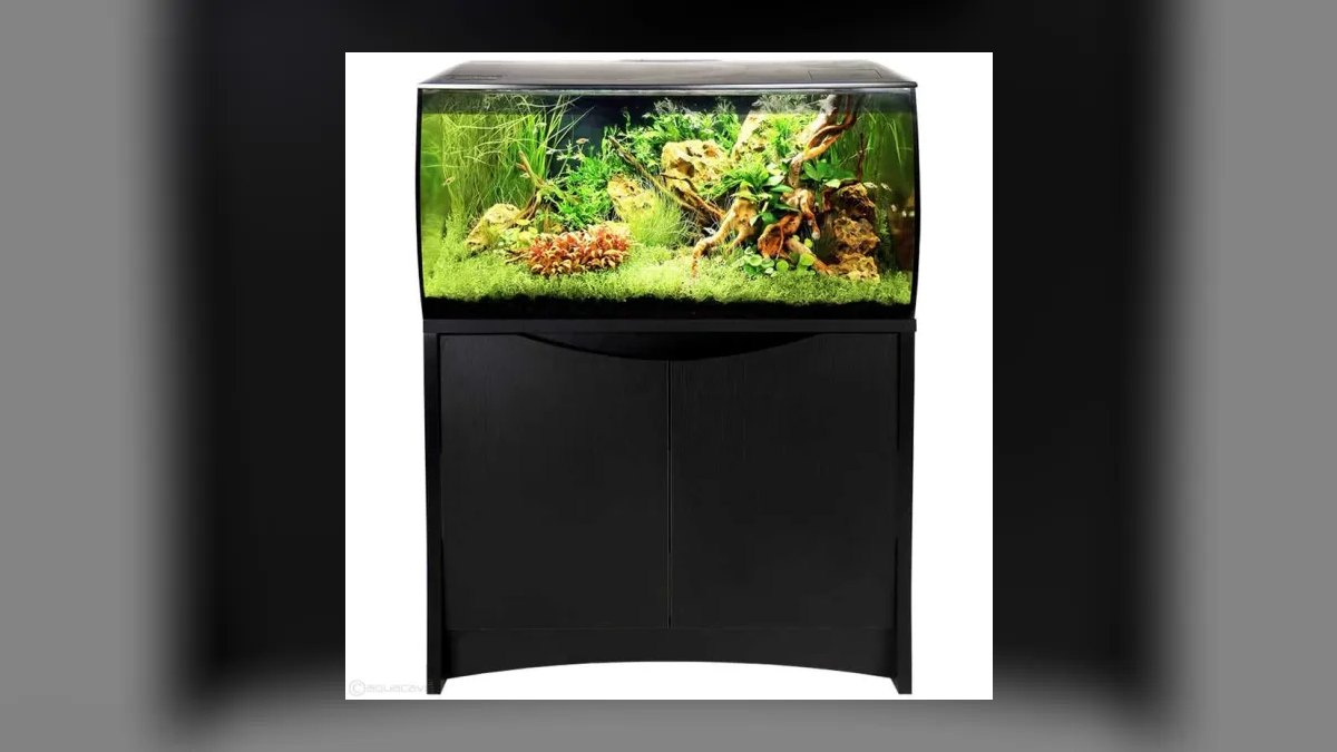 Top 10 Aquarium Stands for 20-40 Gallon Tanks Under $150 in 2027 — figure 6