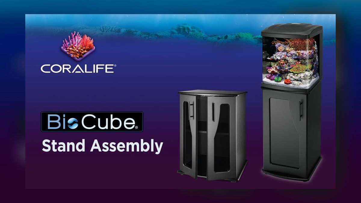 Top 10 Aquarium Stands for 20-40 Gallon Tanks Under $150 in 2027 — figure 7