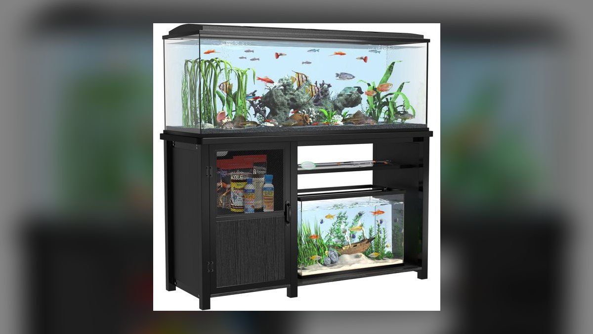 Top 10 Aquarium Stands for 20-40 Gallon Tanks Under $150 in 2027