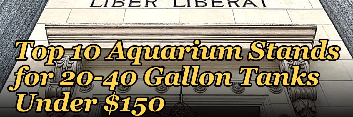 Top 10 Aquarium Stands for 20-40 Gallon Tanks Under $150