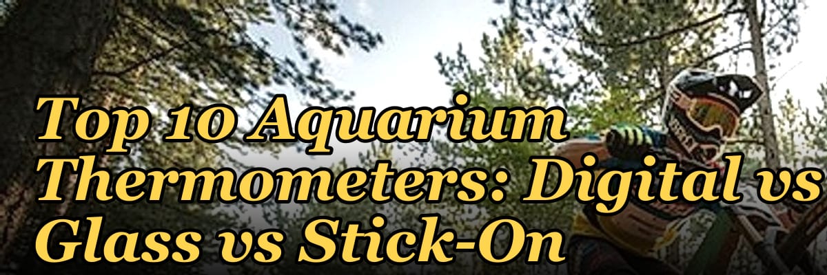 Top 10 Aquarium Thermometers: Digital vs Glass vs Stick-On