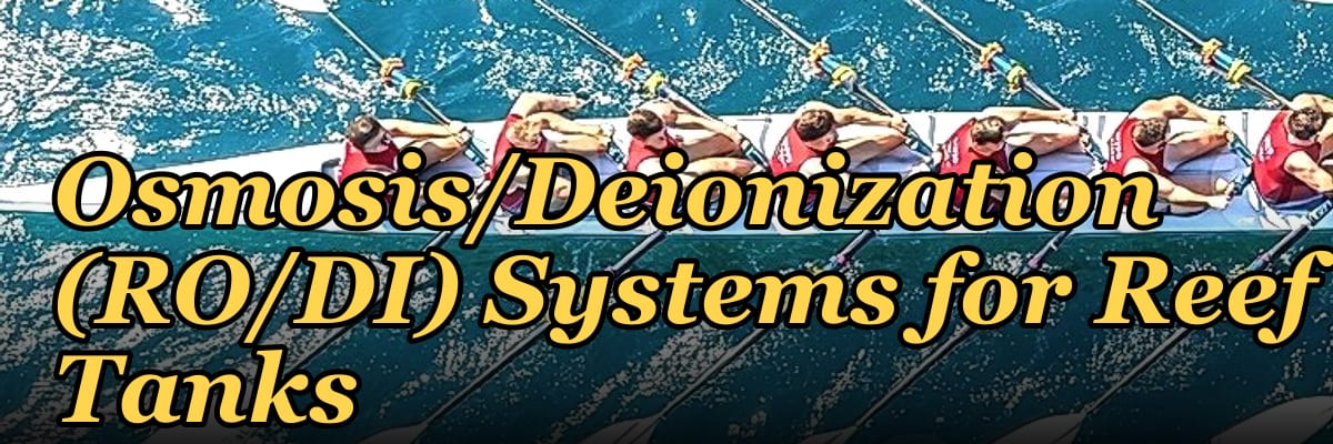 Top 10 Reverse Osmosis/Deionization (RO/DI) Systems for Reef Tanks