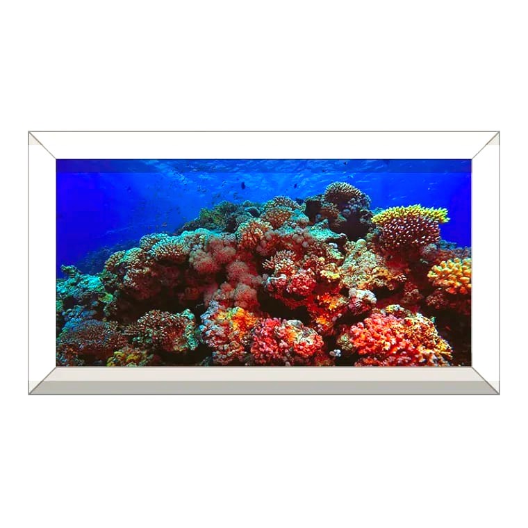Vinyl: Custom Aquariums Printed Background (Reef)