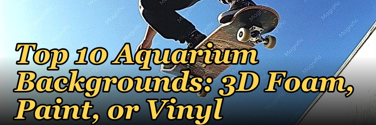 Top 10 Aquarium Backgrounds: 3D Foam, Paint, or Vinyl