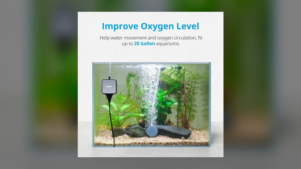 Top 10 Aquarium Air Pumps for Quiet Operation (Up to 40 Gallons) in 2027 — figure 9
