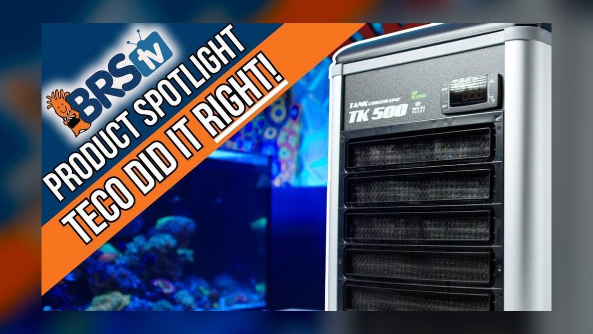 Top 10 Aquarium Chillers for Coldwater or Reef Tanks in 2027 — figure 6