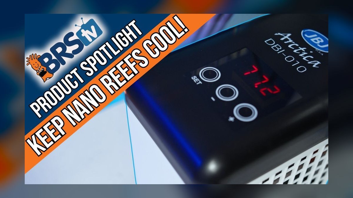Top 10 Aquarium Chillers for Coldwater or Reef Tanks in 2027 — figure 9