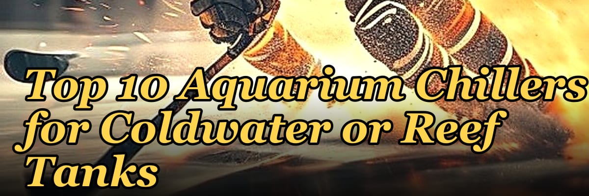 Top 10 Aquarium Chillers for Coldwater or Reef Tanks