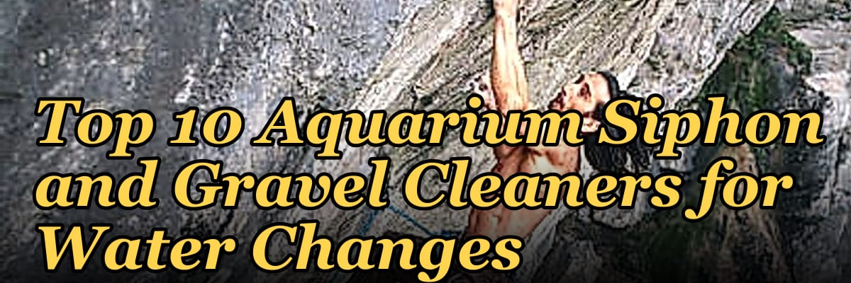 Top 10 Aquarium Siphon and Gravel Cleaners for Water Changes
