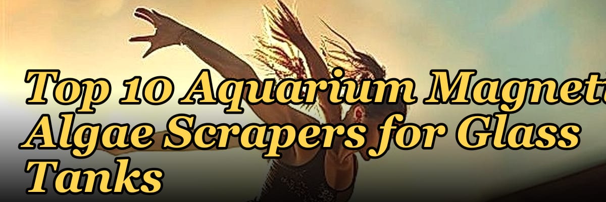 Top 10 Aquarium Magnetic Algae Scrapers for Glass Tanks