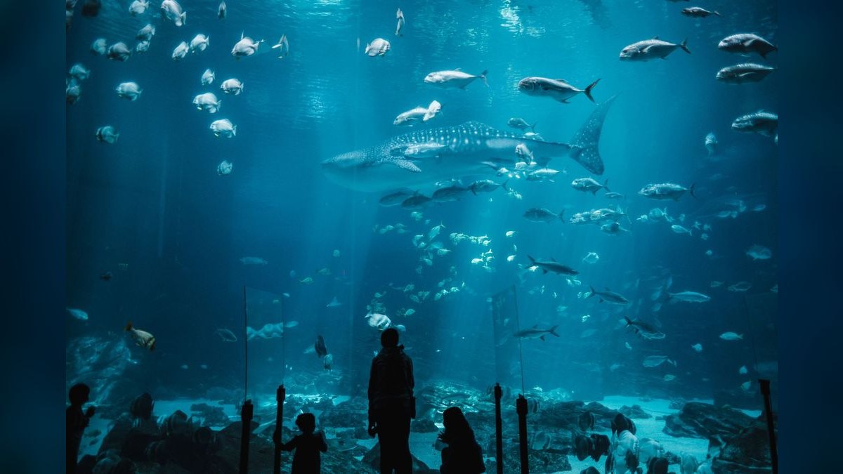 Top 10 Aquarium Wave Makers for Mixed Reef Tanks — figure 3