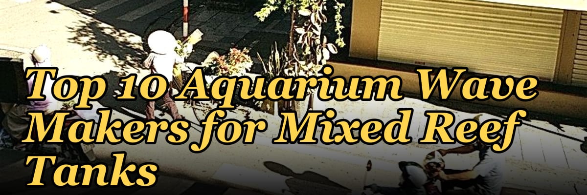 Top 10 Aquarium Wave Makers for Mixed Reef Tanks