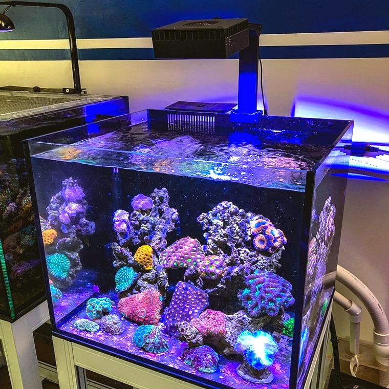 Red Sea ReefLED Lid (for Saltwater Tanks)