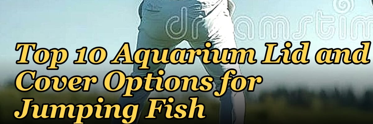 Top 10 Aquarium Lid and Cover Options for Jumping Fish