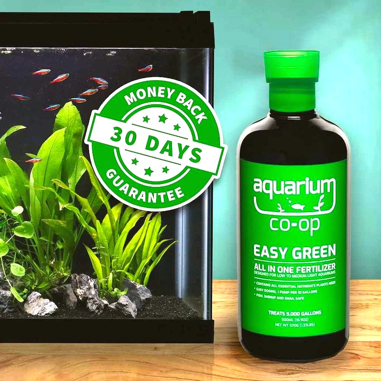Aquarium Co-Op Easy Green
